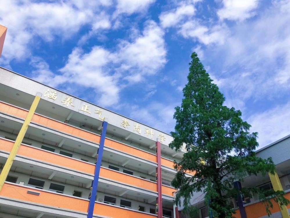 阳光校园的蓝天